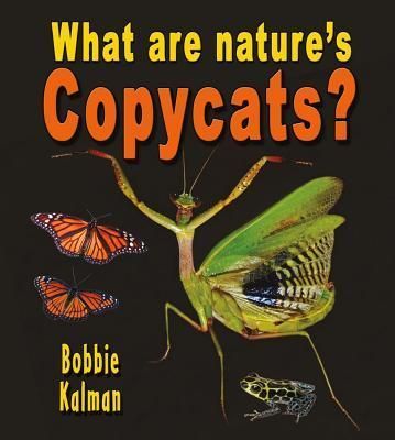 Produktbild: What Are Nature's Copycats?