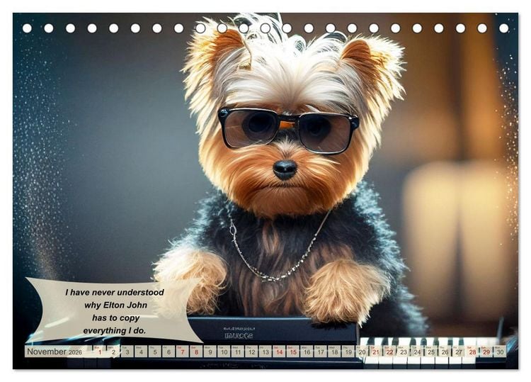 Produktbild: Great fun for Yorkshire Terrier lovers (Desk Calendar 2026 DIN A5 landscape), CALVENDO 12 Month DeskCalendar