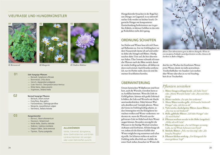 Produktbild: Wildkr&auml;uter in T&ouml;pfen & K&uuml;beln