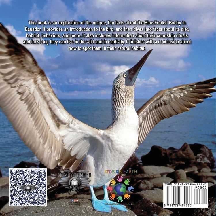 Produktbild: KIDS ON EARTH Wildlife Adventures - Explore The World Blue Footed Booby - Ecuador