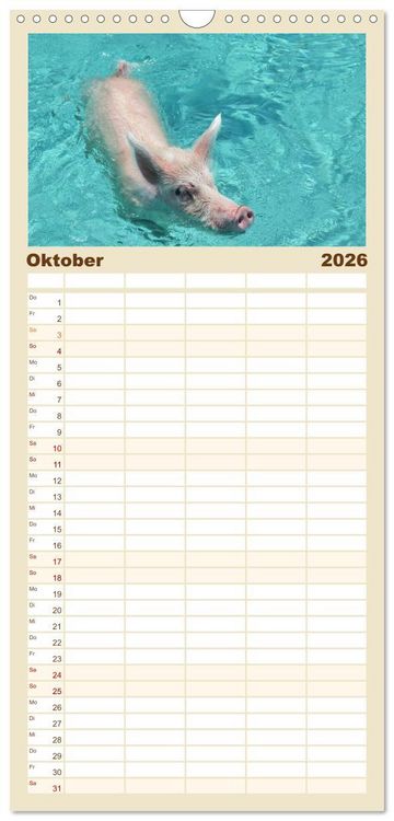 Produktbild: Familienplaner 2026 - Schwimmende Schweine auf den Bahamas! mit 5 Spalten (Wandkalender, 21 x 45 cm) CALVENDO