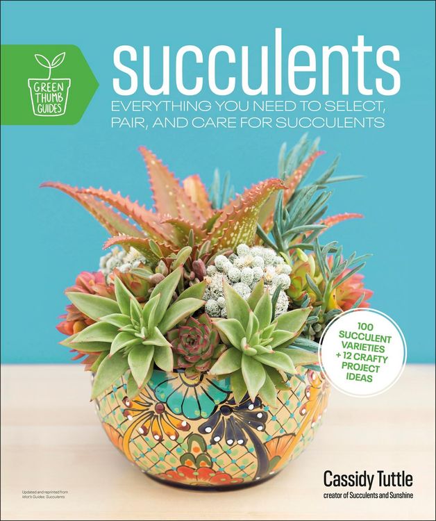 Produktbild: Succulents