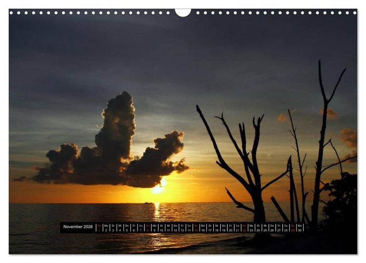 Produktbild: Florida Impressionen (Wandkalender 2026 DIN A3 quer), CALVENDO Monatskalender