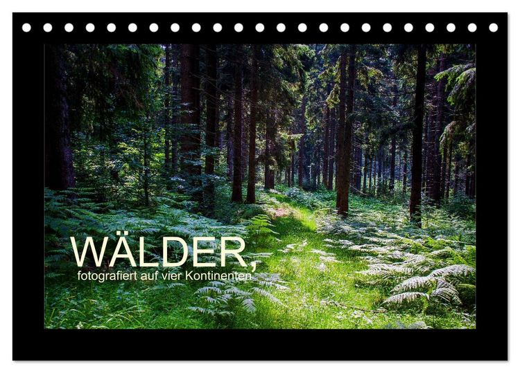 Produktbild: W&auml;lder, fotografiert auf vier Kontinenten (Tischkalender 2026 DIN A5 quer), CALVENDO Monatskalender
