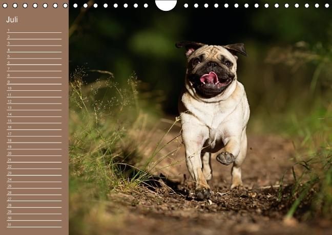 Produktbild: Ein Mops f&uuml;rs Herz (Wandkalender immerw&auml;hrend DIN A4 quer)