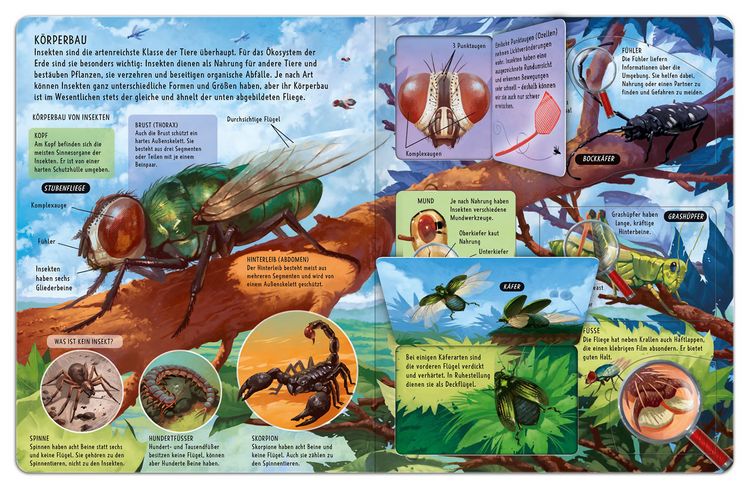 Produktbild: Mein gro&szlig;es Klappenbuch - Insekten