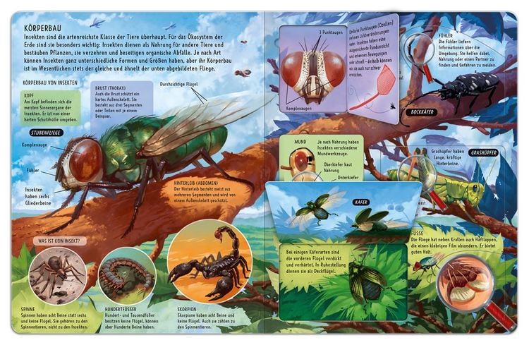 Produktbild: Mein gro&szlig;es Klappenbuch - Insekten