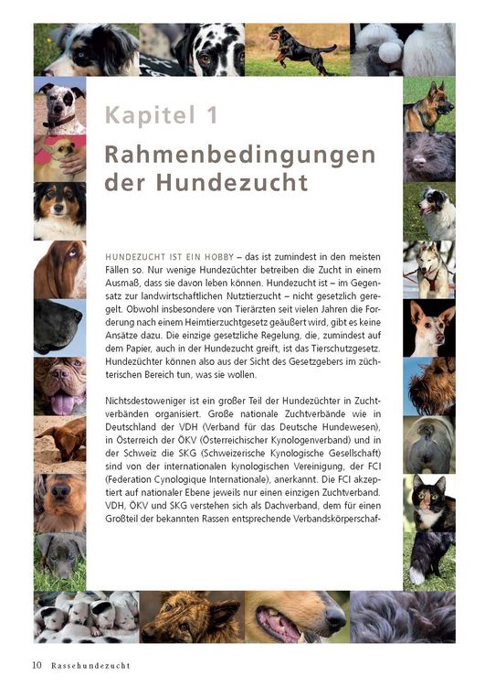 Produktbild: Rassehundezucht