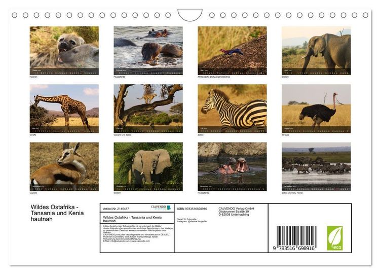 Produktbild: Wildes Ostafrika - Tansania und Kenia hautnah (Wandkalender 2026 DIN A4 quer), CALVENDO Monatskalender
