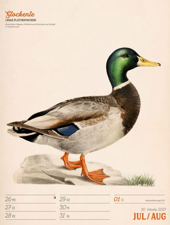 Produktbild: Wunderbare Vogelwelt Wochenplaner Kalender 2027