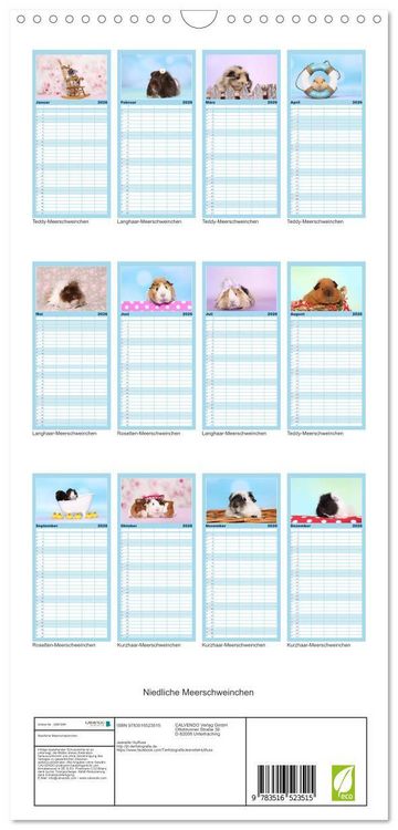 Produktbild: Familienplaner 2026 - Niedliche Meerschweinchen mit 5 Spalten (Wandkalender, 21 x 45 cm) CALVENDO