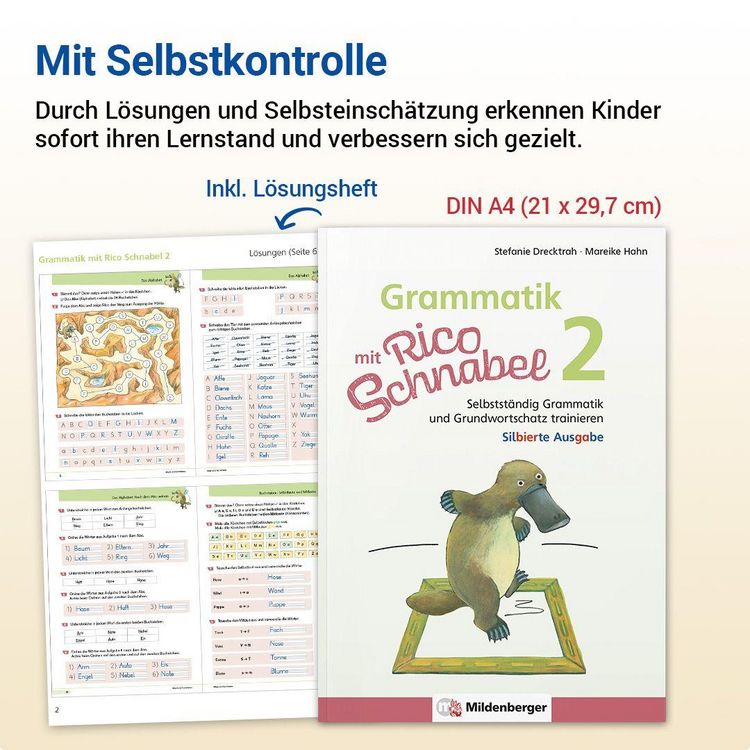 Produktbild: Grammatik mit Rico Schnabel, Klasse 2 - silbierte Ausgabe