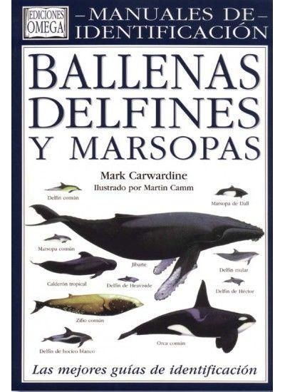 Produktbild: Ballenas, delfines y marsopas : una gu&iacute;a visual de todos los cet&aacute;ceos