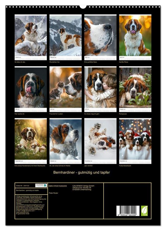 Produktbild: Bernhardiner - gutm&uuml;tig und tapfer (hochwertiger Premium Wandkalender 2026 DIN A2 hoch), Kunstdruck in Hochglanz