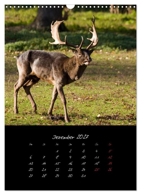 Produktbild: Tiere (Wandkalender 2027 DIN A3 hoch), CALVENDO Monatskalender
