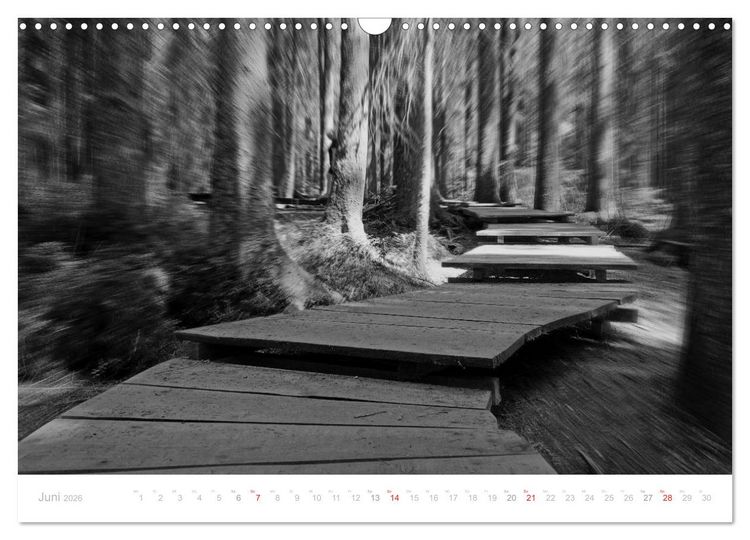 Produktbild: Mystischer Schwarzwald (Wandkalender 2026 DIN A3 quer), CALVENDO Monatskalender