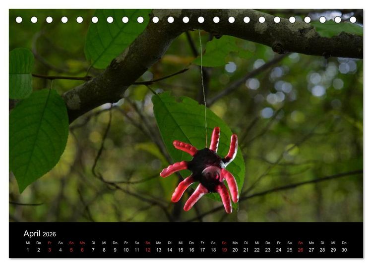 Produktbild: Die Welt der Fruchtgummis (Tischkalender 2026 DIN A5 quer), CALVENDO Monatskalender