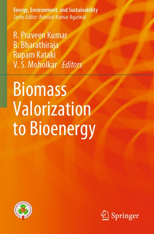 Produktbild: Biomass Valorization to Bioenergy