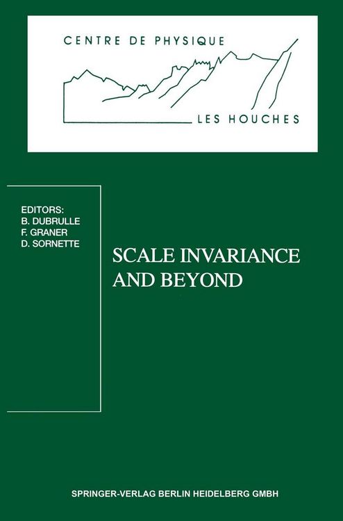 Produktbild: Scale Invariance and Beyond