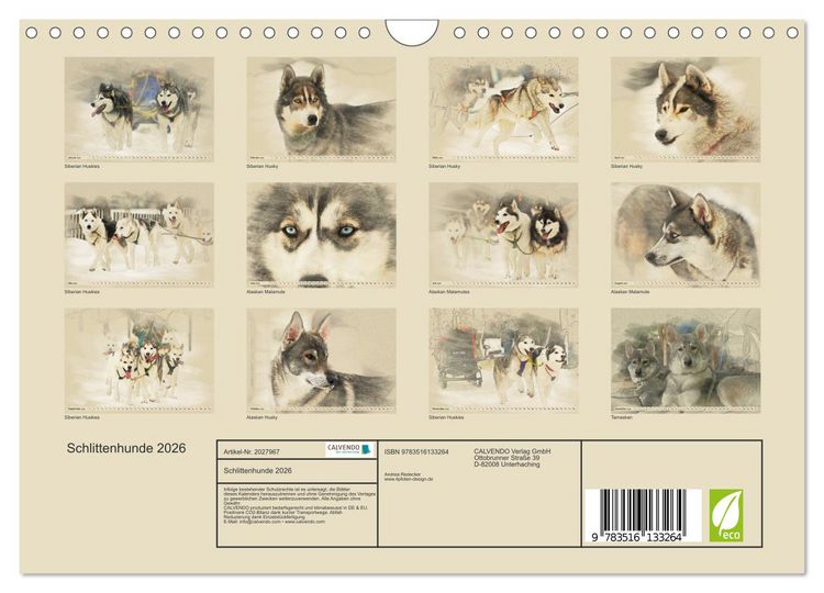 Produktbild: Schlittenhunde 2026 (Wandkalender 2026 DIN A4 quer), CALVENDO Monatskalender