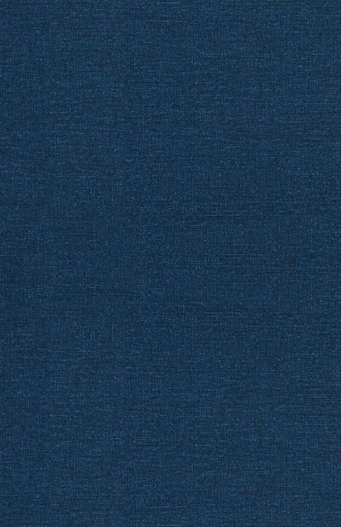 Produktbild: The Misadventures of Modern Relationships