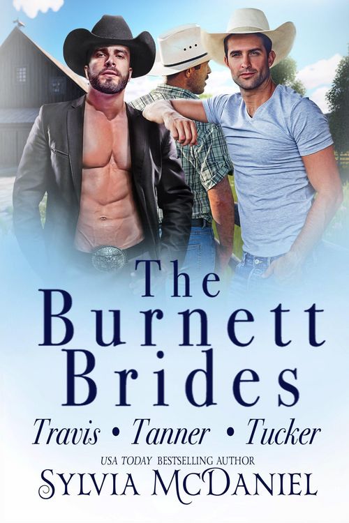 Produktbild: The Burnett Brides Books 5-7 Box Set