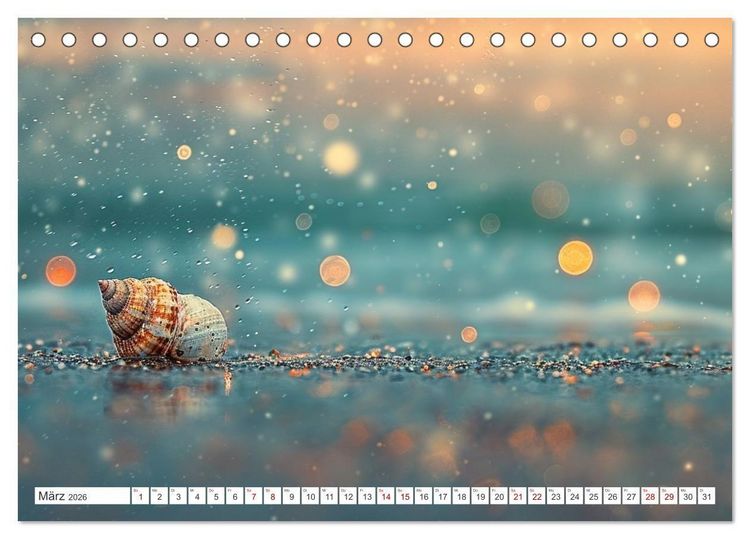 Produktbild: Sandgefl&uuml;ster und Muschelzauber (Tischkalender 2026 DIN A5 quer), CALVENDO Monatskalender