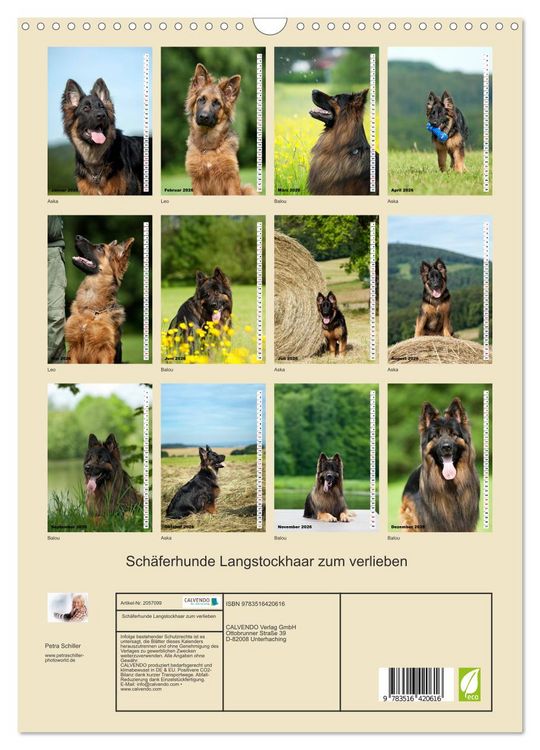 Produktbild: Sch&auml;ferhunde Langstockhaar zum verlieben (Wandkalender 2026 DIN A3 hoch), CALVENDO Monatskalender