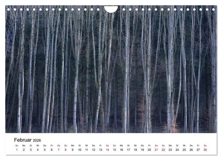 Produktbild: B&auml;ume - Wunder der Natur (Wandkalender 2026 DIN A4 quer), CALVENDO Monatskalender