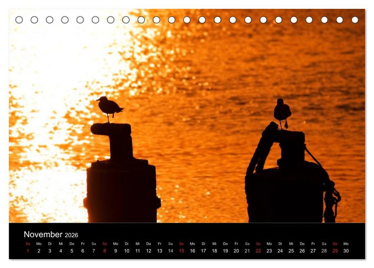 Produktbild: D&auml;nemarks Nordseek&uuml;ste (Tischkalender 2026 DIN A5 quer), CALVENDO Monatskalender