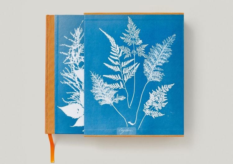 Produktbild: Anna Atkins