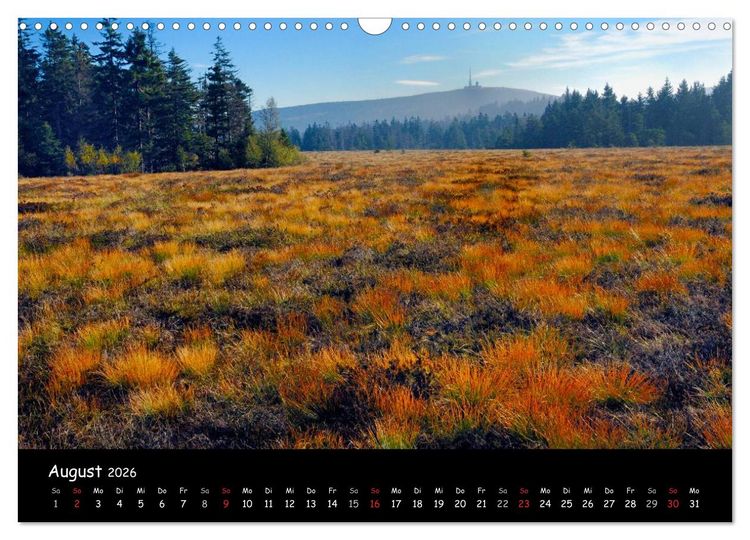Produktbild: Faszination Harz 2026 (Wandkalender 2026 DIN A3 quer), CALVENDO Monatskalender