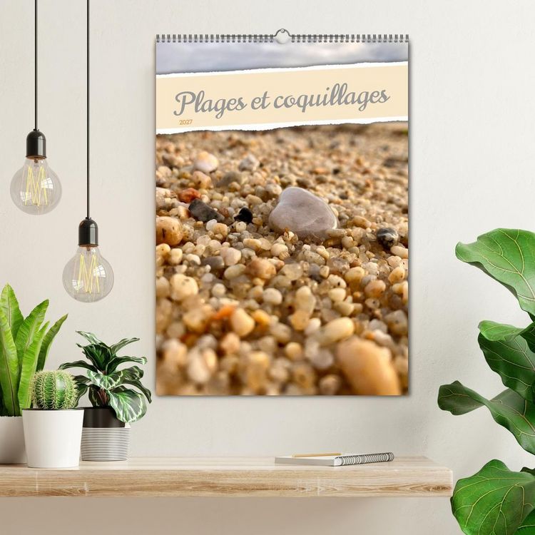 Produktbild: Plages et coquillages (Calendrier mural 2027 DIN A2 horizontal), CALVENDO calendrier mensuel