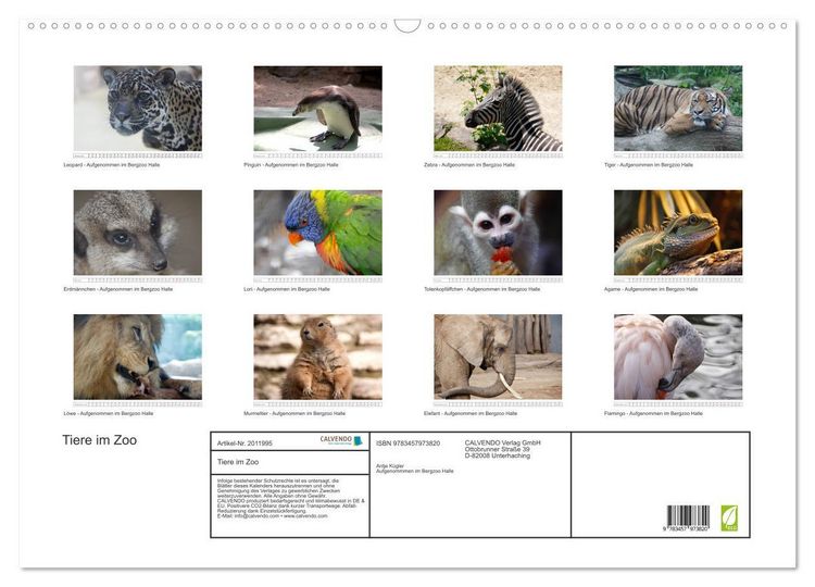 Produktbild: Tiere im Zoo (Wandkalender 2026 DIN A2 quer), CALVENDO Monatskalender