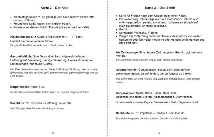 Produktbild: Kartenlegen lernen mit 40x LENORMAND POWER Bachbl&uuml;ten