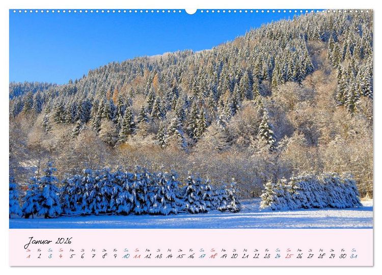 Produktbild: Wald und Baum 2026 (hochwertiger Premium Wandkalender 2026 DIN A2 quer), Kunstdruck in Hochglanz