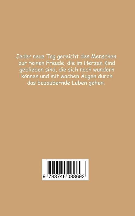 Produktbild: Wie sieht Frieden von innen aus?