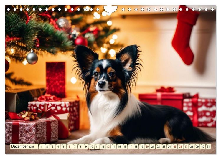 Produktbild: Papillon - bringt jedes Herz zum Schmelzen (Wandkalender 2026 DIN A4 quer), CALVENDO Monatskalender