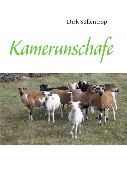 Produktbild: Kamerunschafe