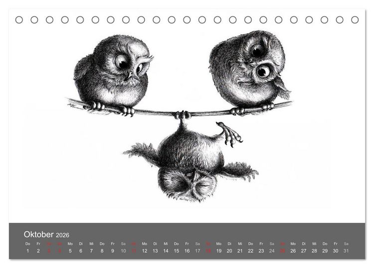 Produktbild: owls & friends 2026 (Tischkalender 2026 DIN A5 quer), CALVENDO Monatskalender