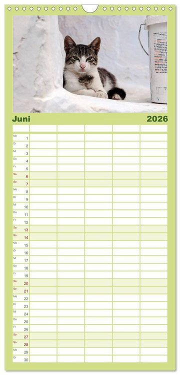 Produktbild: Familienplaner 2026 - Griechische Katzen mit 5 Spalten (Wandkalender, 21 x 45 cm) CALVENDO