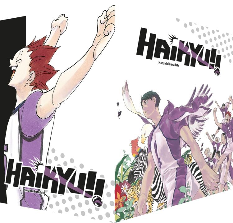 Produktbild: Haikyu!! Sammelbox 4 &ndash; Band 31-40 im Schuber