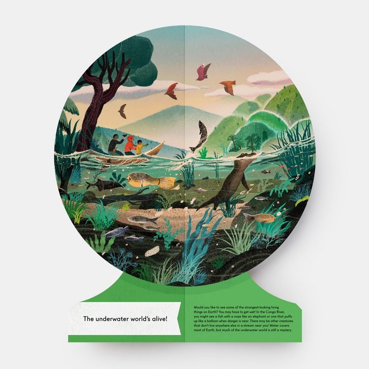 Produktbild: Our Underwater World