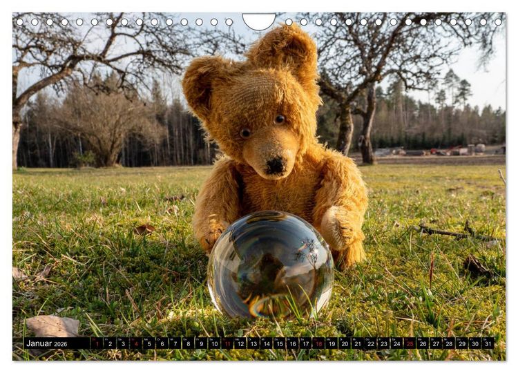 Produktbild: Neue Abenteuer von Teddy Basse (Wandkalender 2026 DIN A4 quer), CALVENDO Monatskalender