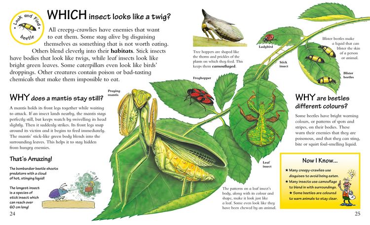 Produktbild: What? Where? Why?: Questions and Answers About Nature?
