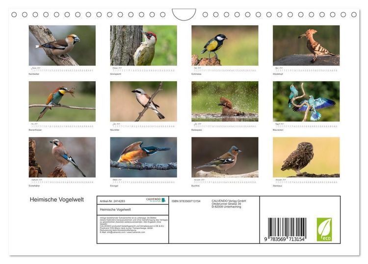 Produktbild: Heimische Vogelwelt (Wandkalender 2027 DIN A4 quer), CALVENDO Monatskalender