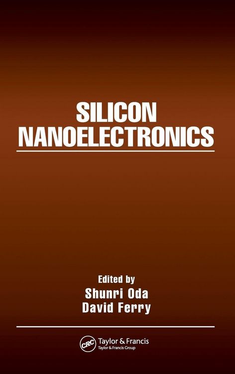 Produktbild: Silicon Nanoelectronics