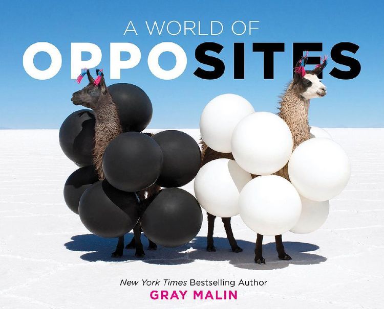 Produktbild: A World of Opposites