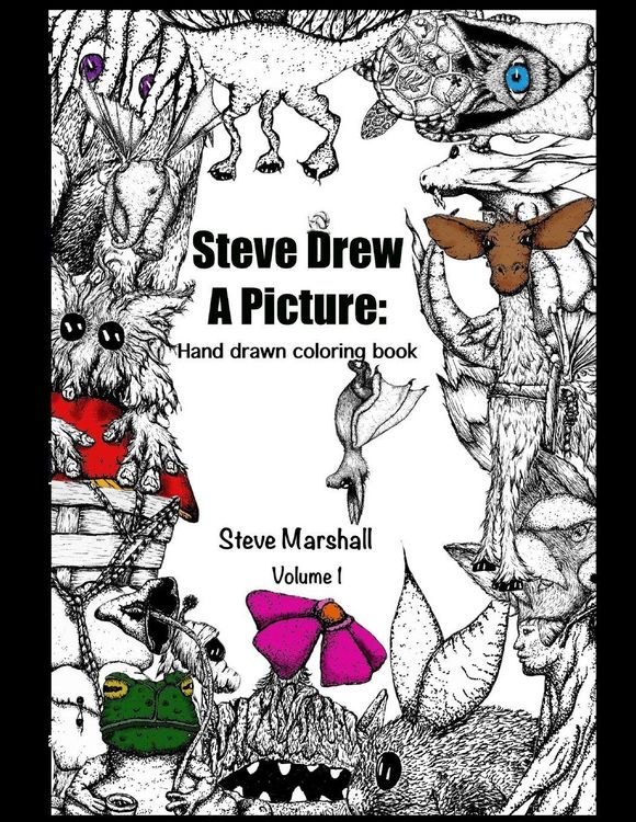 Produktbild: Steve Drew a Picture