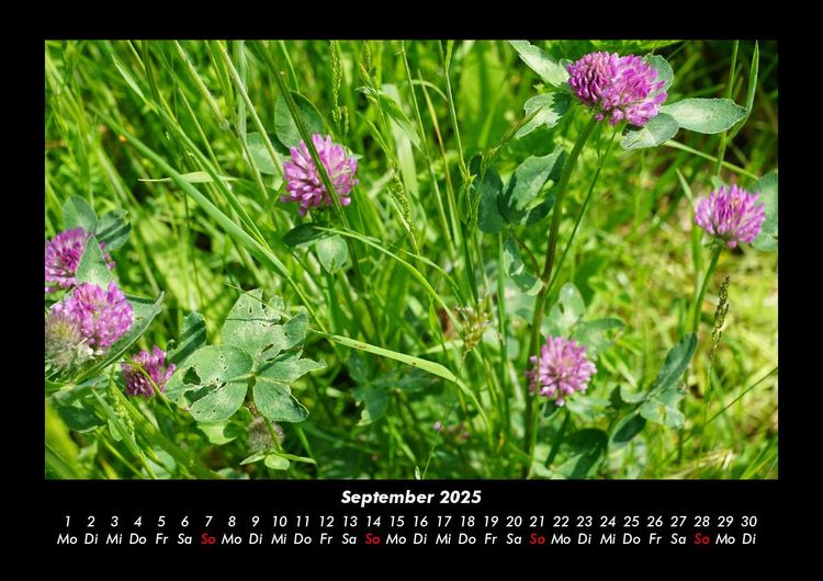 Produktbild: Bilder der Natur 2025 Fotokalender DIN A3